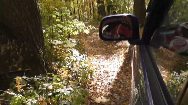 ПАРК ГОСПОДСКИЙ\ С ТАРТАЛЕЙ НИЖЕГОР ОБЛ 130ЛЕТ НАЗАД ХОДИЛ ПО НЕМУ ВЫДАЮЩ ХУДОЖНИК РЕПИН ИЛЬЯ ЕФИМЫ смотреть онлайн