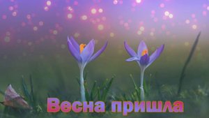 Футаж. Весна пришла 15