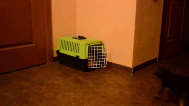 Приходите в мой дом смотреть онлайн