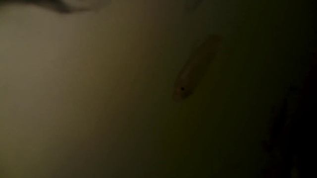 Вологда река смотреть онлайн