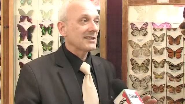 Гулькевичи. "Бахус" и "Монарх" - бабочки-загадки смотреть онлайн