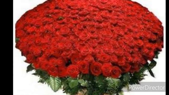 Цветной мир смотреть онлайн