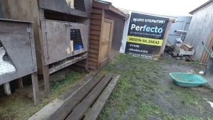 Кролики.Вес кроликов в 3 месяца.