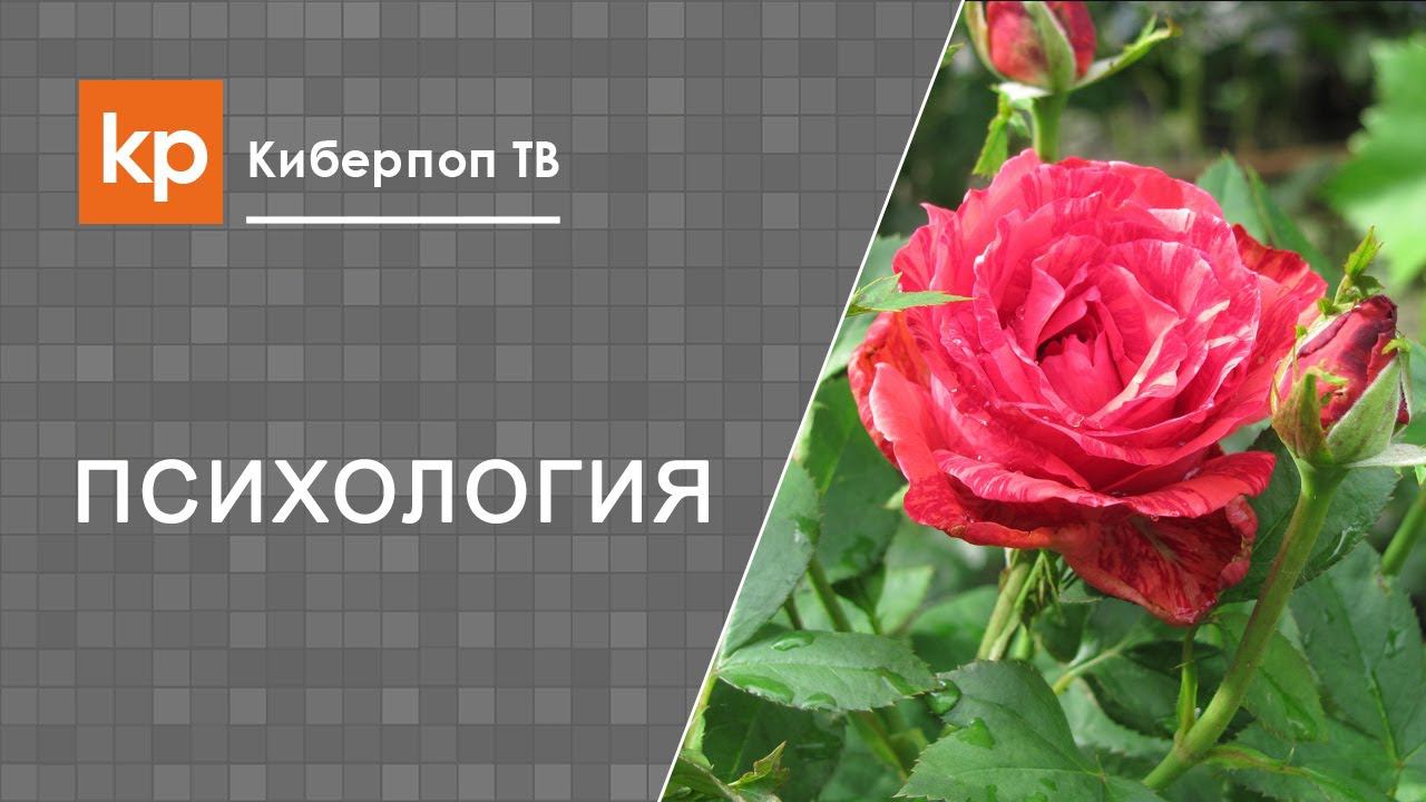 Промысел Божий и мечты желания