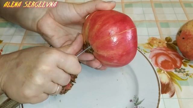 КАК ВЫРАСТИТЬ ГРАНАТ В ДОМАШНИХ УСЛОВИЯХ #гранат #выраститьгранат #гранатдома #ягодагранат смотреть онлайн