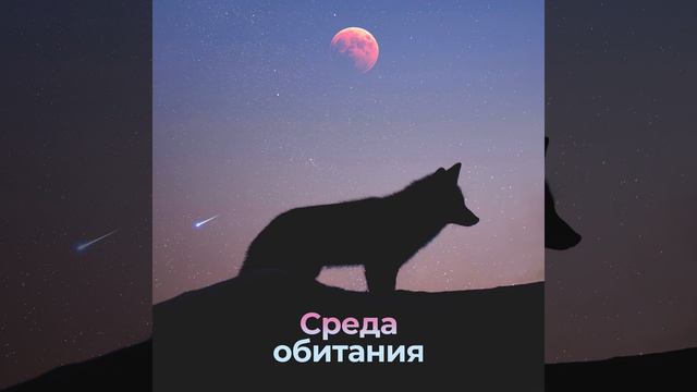 Прозрачное море
