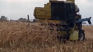 Комбайн ДОН 1500 - КУКУРУЗУ КАК ПШЕНИЦУ...