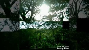 Sony R1 dual camera pic