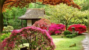 Ландшафтный дизайн в японском стиле!65 лучших идей!!!