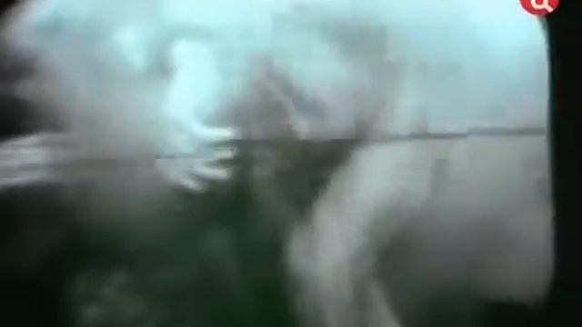 32 1975 Корсиканцы в погоне за кораллами Подводная одиссея команды Кусто