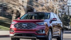 Look This, 2019 Ford Edge ST