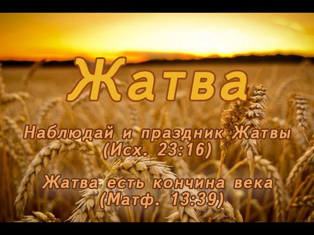 Жатва