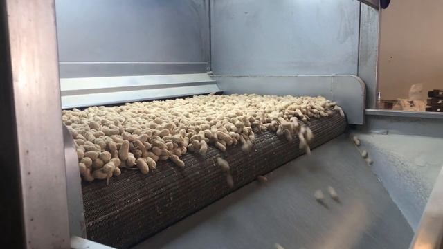 Машина для обжарки орехов - Shelled Peanut Roasting Machine - Machine à Rôtir Bande