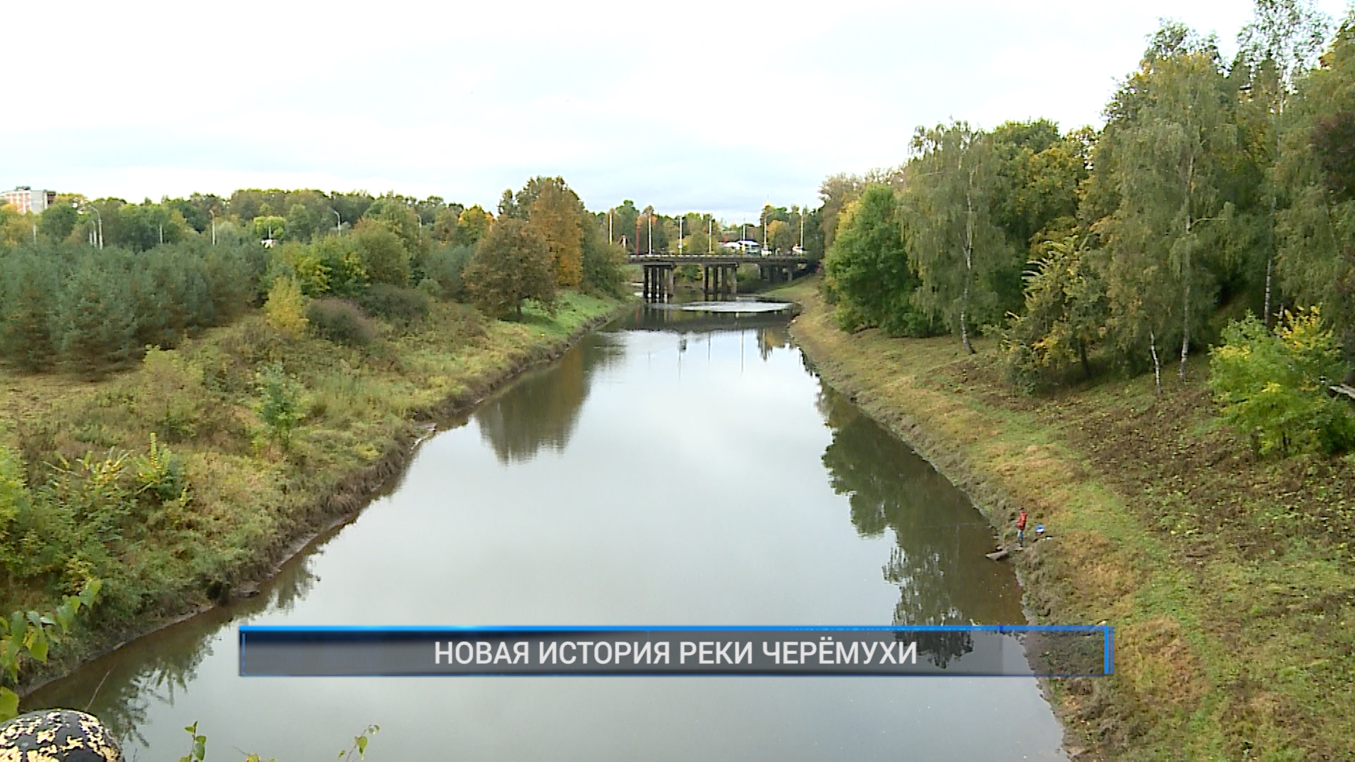 черемуха на реке