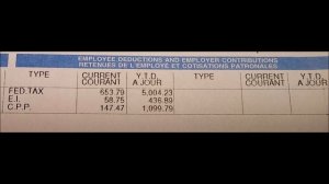 Первая ЗАРПЛАТА программиста в Канаде