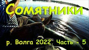 Сомятники: р. Волга 2022. Часть - 5.