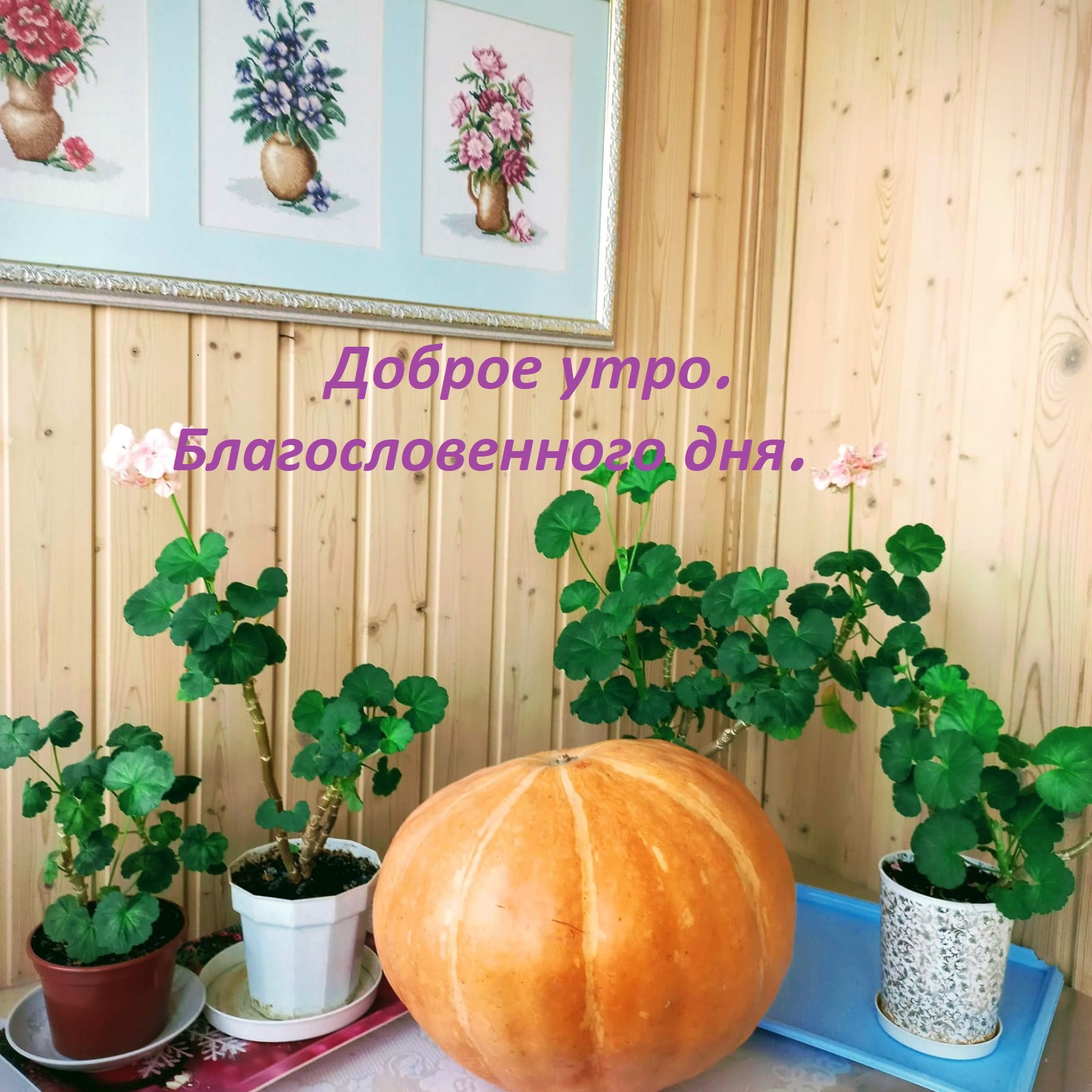 С добрым утром благословенного дня