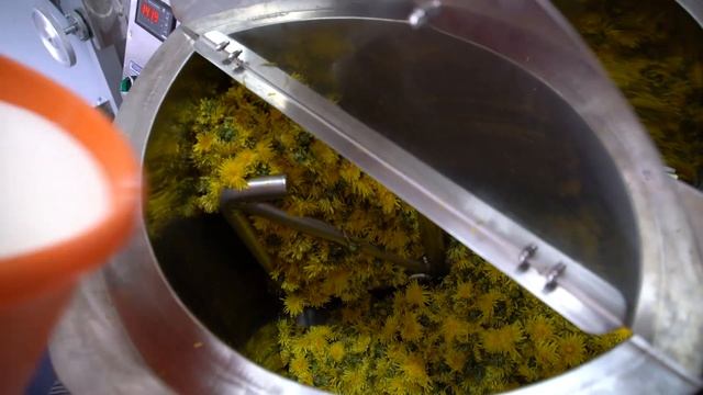 NOMAD (ТМ) сбор одуванчиков для производства варенья смотреть онлайн