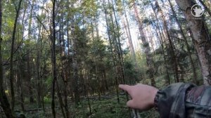 Рябчик подошел на 5 метров | Охота на рябчика | Сентябрь 2020