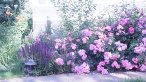 Роза Палменгартен Фракфурт.