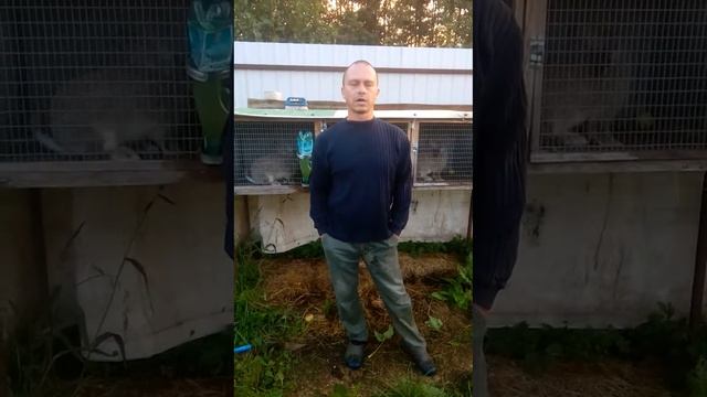 Суеверия или плохой глаз. смотреть онлайн