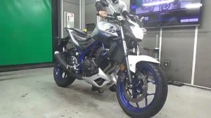 Yamaha MT-25, 2016 год
