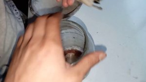 В якутске водятся лягушки! [Я нашёл лягушку в огороде]