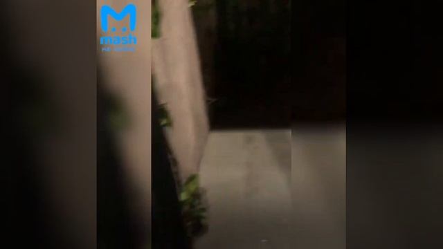 iVBG.ru: 11-летний мальчик сломал позвоночник во время детского квеста в Петербурге смотреть онлайн