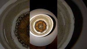 Что внутри редуктора от блендера Браун? Вскрытие покажет!))