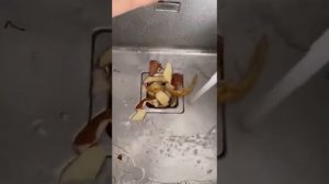 Отзыв измельчитель пищевых отходов Waste Fighter. Как работает измельчитель отходов для раковины.