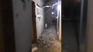 АВОТАКВОТ. ЛИМОНЧИКИ У СОНЬКЕ НА БАЛКОНЧИКЕ