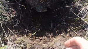 ЗДЕСЬ ПОЛНО ЦВЕТНОГО МЕТАЛЛА! Коп металлолома. Металлокоп.