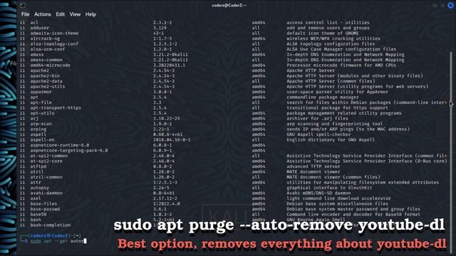 How To Remove Software In Linux/Kali Linux | Full Delete Setup смотреть онлайн