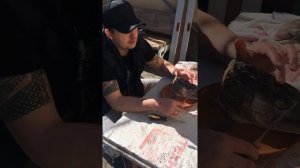 Чучело из головы щуки