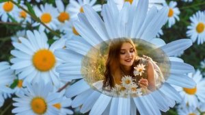 а ромашка белая.Красивая  народная песня