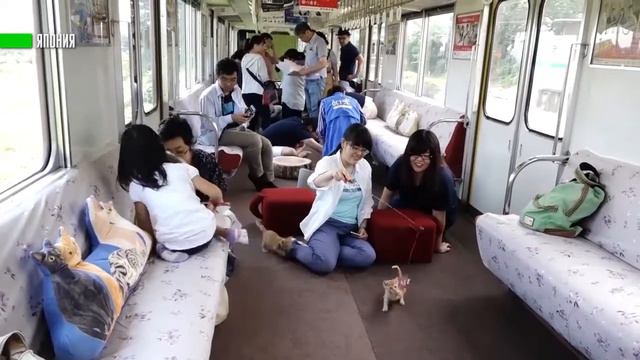 МИМИМИШНЫЙ ВАГОНЧИК! В ЯПОНИИ ЗАПУСТИЛИ ПОЕЗД С КОТАМИ смотреть онлайн