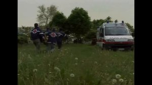 Ризеншнауцер (Пинчеры и шнауцеры). Энциклопедия собак.