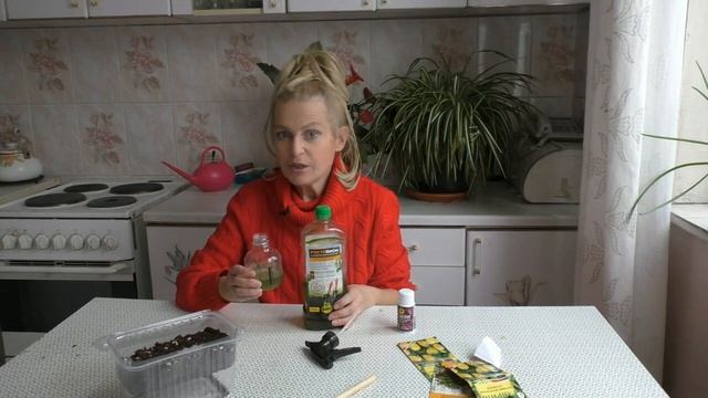 САМЫЙ ЛУЧШИЙ СПОСОБ ПОСЕВА ЗЕМЛЯНИКИ! ВСХОЖЕСТЬ ГАРАНТИРОВАНА!