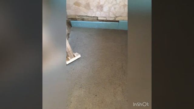 Засипка основи під підлогу по ґрунту. Кухня