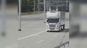 Дураки и дороги 2024 Царь дорог Их трудно понять, Авто моменты #126