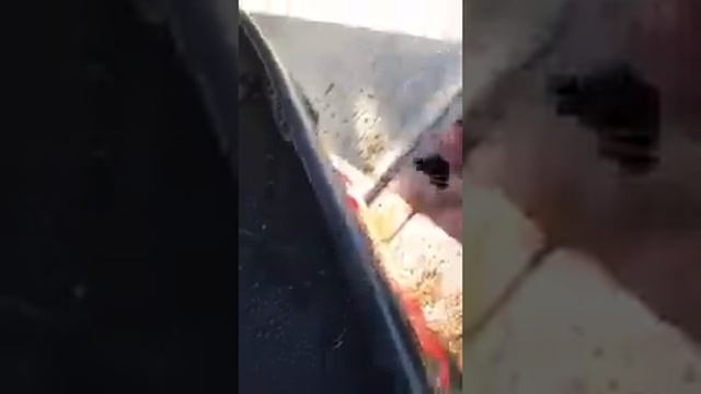 Changing coolant in 2015 Hyundai Accent смотреть онлайн