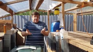 Как избавиться от комаров, мух и не обмануться. Раптор поразил.