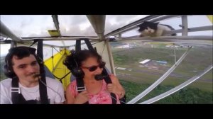 Кот летит на самолете