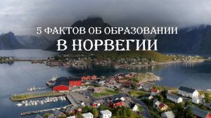 ТОП 5 фактов об учёбе в Норвегии. Система образования в стране с самым счастливым населением