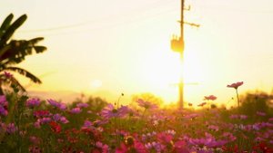 Как развить интуицию. Часть 1.