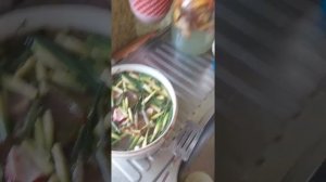 Чесночные стрелки от тли и вредителей
