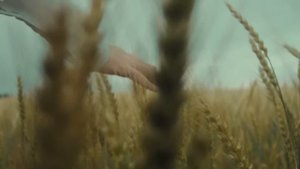 Певец Шаман (SHAMAN) передал привет фонду Талая и детям Донбасса находящимся на отдыхе в Беларуси