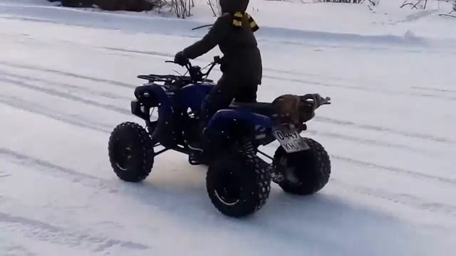 Малой на квадрике apachi 150, по весеннему насту смотреть онлайн