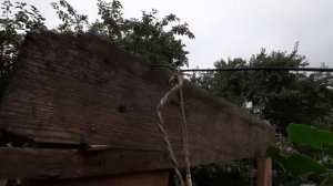 ПАН152 Как вырастить много огурцов Биогумус для огурцов