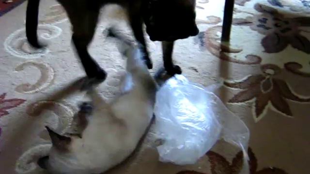 Леон и Мартин смотреть онлайн